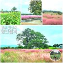 또또뮬리