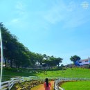 억만목장 | 남해 양떼목장 :: 상상양떼목장 편백숲 넓고 좋아요! feat. 할인정보
