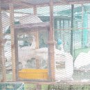 광주조류원 이미지