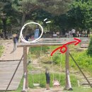 토끼사 | 춘천 해피초원목장 나혼자산다 양떼목장 입장료 한우버거 맛집 아기랑 가볼만한곳 내돈내산