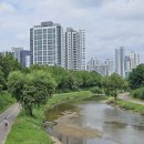 안양천뷰 이미지