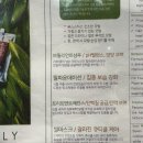 최정호 | 이철헤어커커명동1호점 | 다이아몬드클리닉 후기 | 최정호 수석실장님