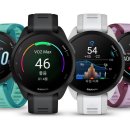 라일락다이나믹스 이미지