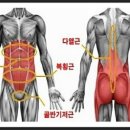 바디찬스짐 이미지