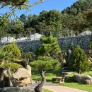 해남슈퍼 | 자연 속에 숨겨진 감성 충만 해남 휴정원 글램핑 돔캠핑장 방문 후기