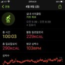 자연식단 이미지