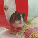 찍 이미지