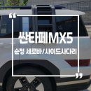 싼타페 MX5 순정 세로바 / 사이드사다리 시공후기