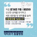 로고스빌딩 | 대전동물병원 닥터코기동물병원 닥터코기 진료 환경 살펴보기