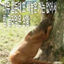 엔담 | &lt;엔담&gt; 삼송 분좋카. 작지만 분위기는. 좋더라 내돈내산 (진짜 웃음기 없이 솔직 후기.백종원 빙의 후기)