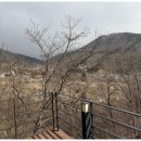울산키즈