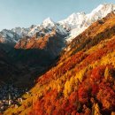 부일로763번길 이미지