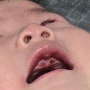 수막 목장 네이버블로그