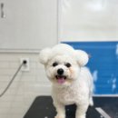 인물나개 이미지