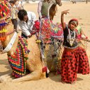 세계의 명소와 풍물 55 - 인도, 푸쉬카르(Pushkar) 낙타축제 이미지