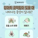 구미옥계동물병원 이미지