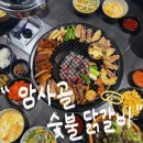 암사골숯불닭갈비 - 성북구 보문로32길 35 | 성신여대 닭갈비 맛집 “암사골 숯불닭갈비” 다녀온 후기
