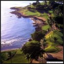 LEE 골프 이미지