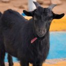 가야랜드 이미지