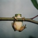 체력단련 이미지