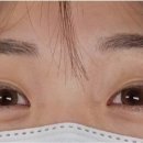 더시크릿 속눈썹
