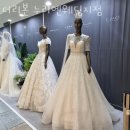 누리엔 이미지