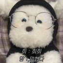 25년이 왔다네요 ?