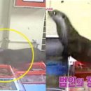 물고기수산