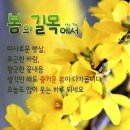 재미로2 이미지