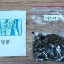 신다송