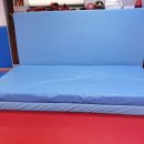 하남국술원합기도 이미지