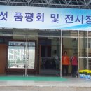 경주버섯축제 Daum카페