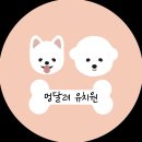 멍달려 네이버블로그