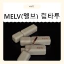 뷰티타투몰 | 수정화장 안녕! 멜브 립타투로 완성하는 유리알 광택 오버립