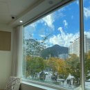 부산 동래구 사직동 오유아이헤어에서 레이어드 c컬 허그펌 시술했어요.