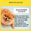 정신
