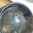 대보수산 | 소사역 횟집 대보회수산 내돈내산 후기 광어+우럭 추천!!