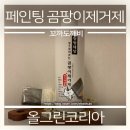 (올그린코리아) 청정세상 페인팅곰팡이제거제 후기