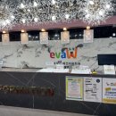 강남애견 이미지