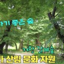 문화유산여행길(1코스) 이미지