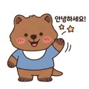 오늘도내일도스시 | 🍣 청담 스시 맛집 <스시 고쿠> 디너 오마카세 솔직 후기