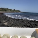 만두쟁이 이미지