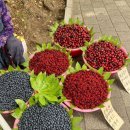 산골나들이 이미지