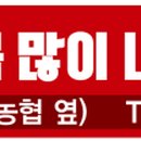 정관장능포점