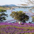 수성대민박 이미지