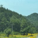 소록소록 | [양양] 제대로 힐링하고 온 Farm11 소록소록 1박 후기🌿💚