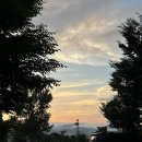 한별 리멤버파크 | [함안] 애견동반 캠핑장 ‘한별도그파크’