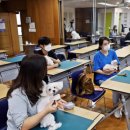 영진우리집 이미지