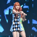 퍼플케이(purple k) 이미지