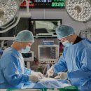 마음반려 동물의료원 | 수원동물병원 24시마음반려동물의료원 최고급 장비 동물병원